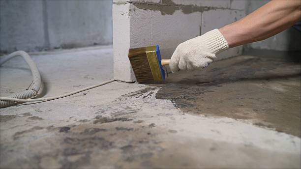 24/7 Emergency Vapor Barrier Installation experts in Cedar Springs, MI